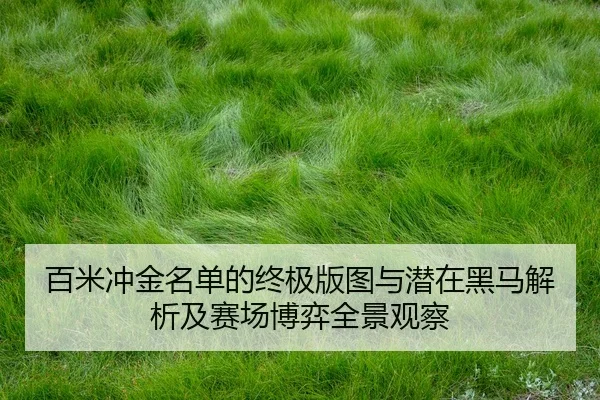 百米冲金名单的终极版图与潜在黑马解析及赛场博弈全景观察